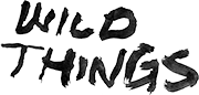 STG Logo